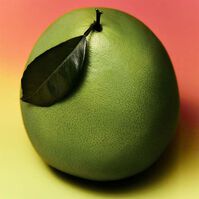 Pomelo Man  120ml-227771 Pomelo Man  120ml-227771 6